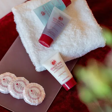 Leonardo Royal Venice 4* Mestre